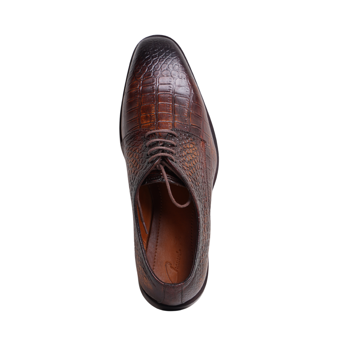 Umber Crocodile Derby